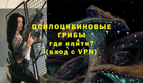 PSILOCYBIN Волоколамск