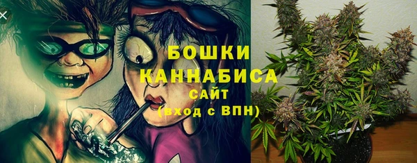 PSILOCYBIN Волоколамск