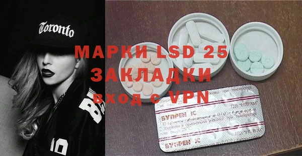 прущие грибы Дегтярск