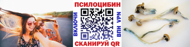 Псилоцибиновые грибы Psilocybine cubensis  закладки  Яранск 